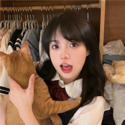 一袋锤子